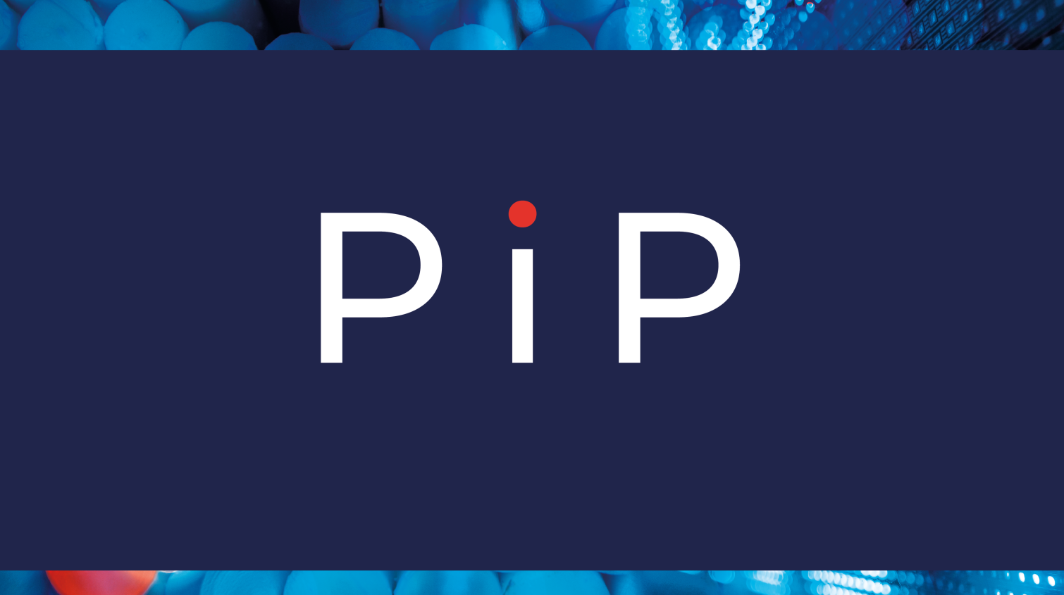 Te presentamos la nueva imagen de PIP
