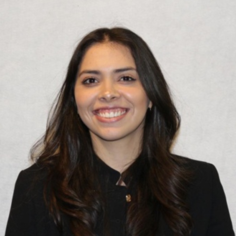Foto del perfil de LILIAN PINTOR GUZMAN