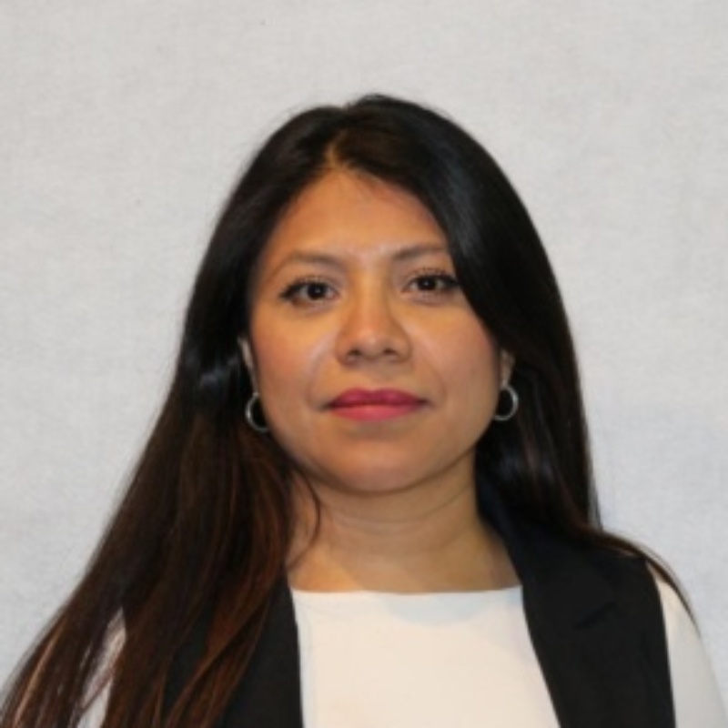 Foto del perfil de DIANA ELIZABETH MIRANDA TORRES